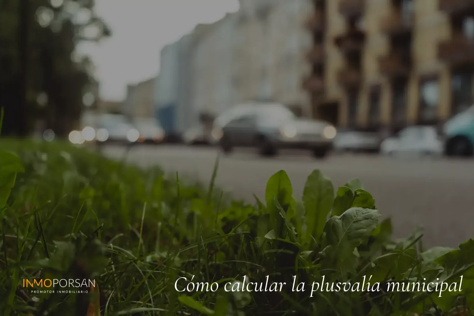 plusvalia minicipal